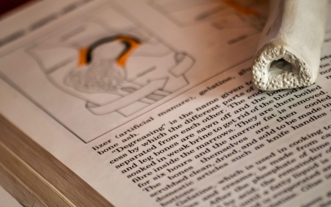 Pembelajaran dari Monitoring Program UKS di Kabupaten Bangka Selatan